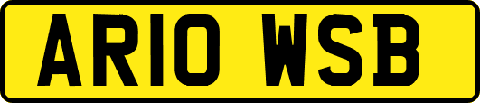 AR10WSB