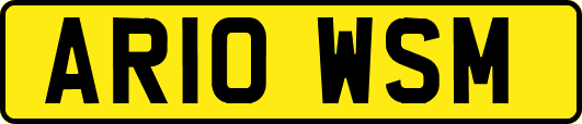AR10WSM