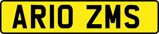 AR10ZMS