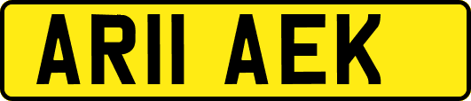 AR11AEK
