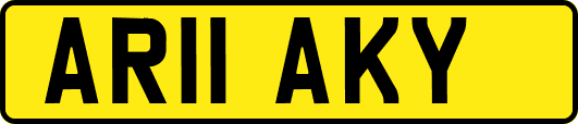 AR11AKY
