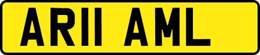 AR11AML