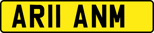 AR11ANM