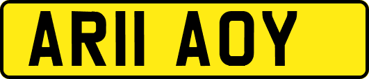 AR11AOY