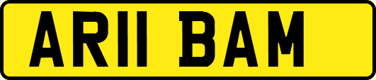 AR11BAM