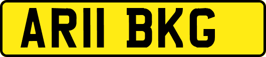 AR11BKG