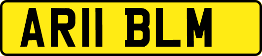 AR11BLM