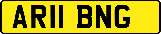 AR11BNG
