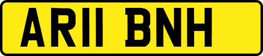 AR11BNH