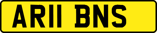 AR11BNS