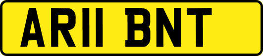 AR11BNT