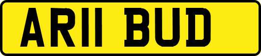AR11BUD