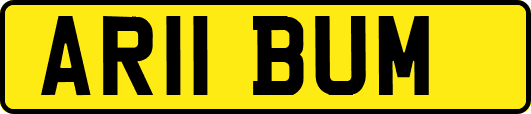 AR11BUM