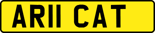 AR11CAT