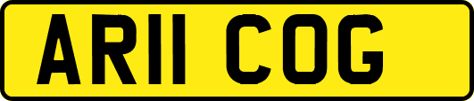 AR11COG