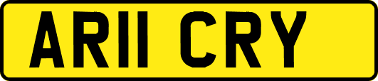 AR11CRY