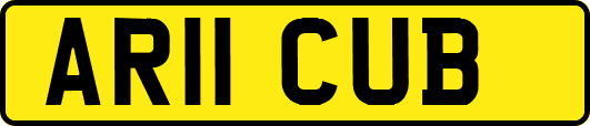 AR11CUB