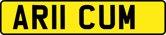 AR11CUM