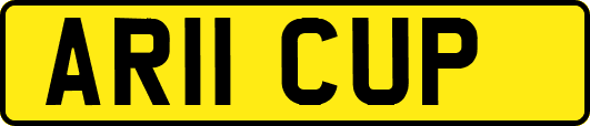 AR11CUP