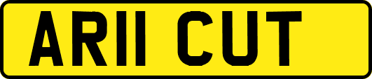 AR11CUT
