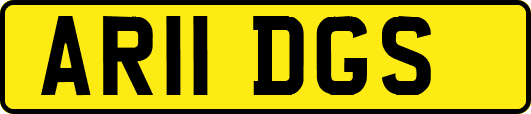 AR11DGS
