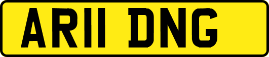 AR11DNG