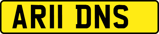 AR11DNS