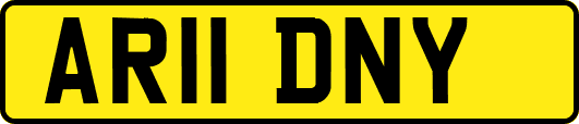 AR11DNY
