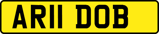 AR11DOB