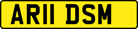 AR11DSM