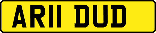 AR11DUD