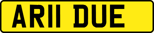 AR11DUE