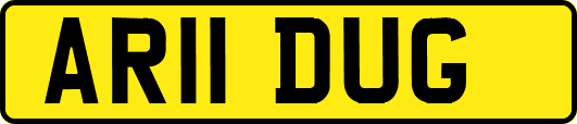 AR11DUG