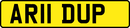 AR11DUP