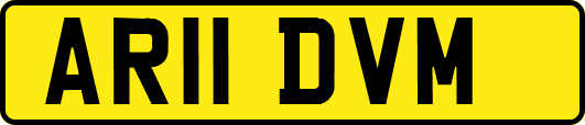 AR11DVM