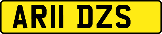 AR11DZS