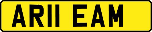 AR11EAM