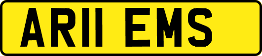 AR11EMS