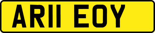 AR11EOY