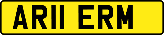 AR11ERM