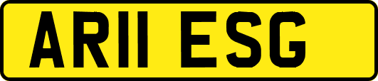 AR11ESG
