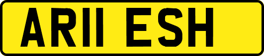 AR11ESH