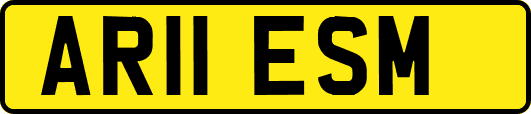 AR11ESM