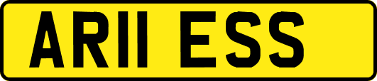 AR11ESS