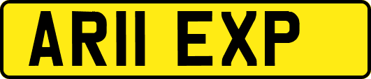 AR11EXP