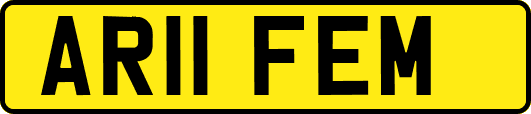 AR11FEM