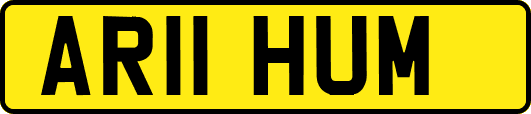 AR11HUM