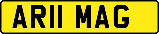 AR11MAG
