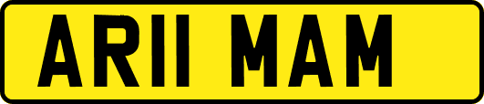 AR11MAM