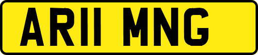 AR11MNG